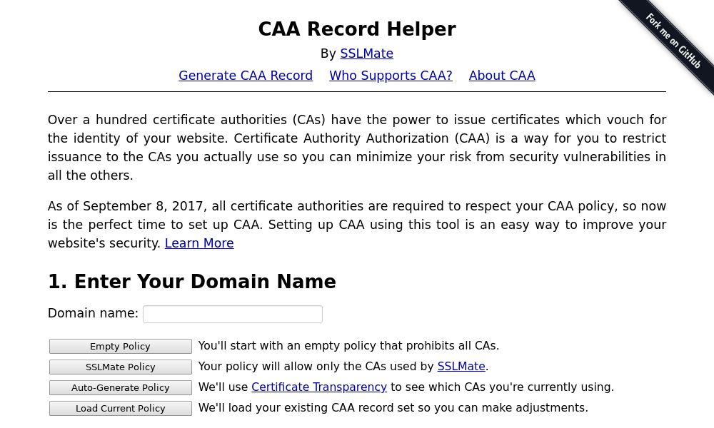 Screenshot of CAA Record Helper